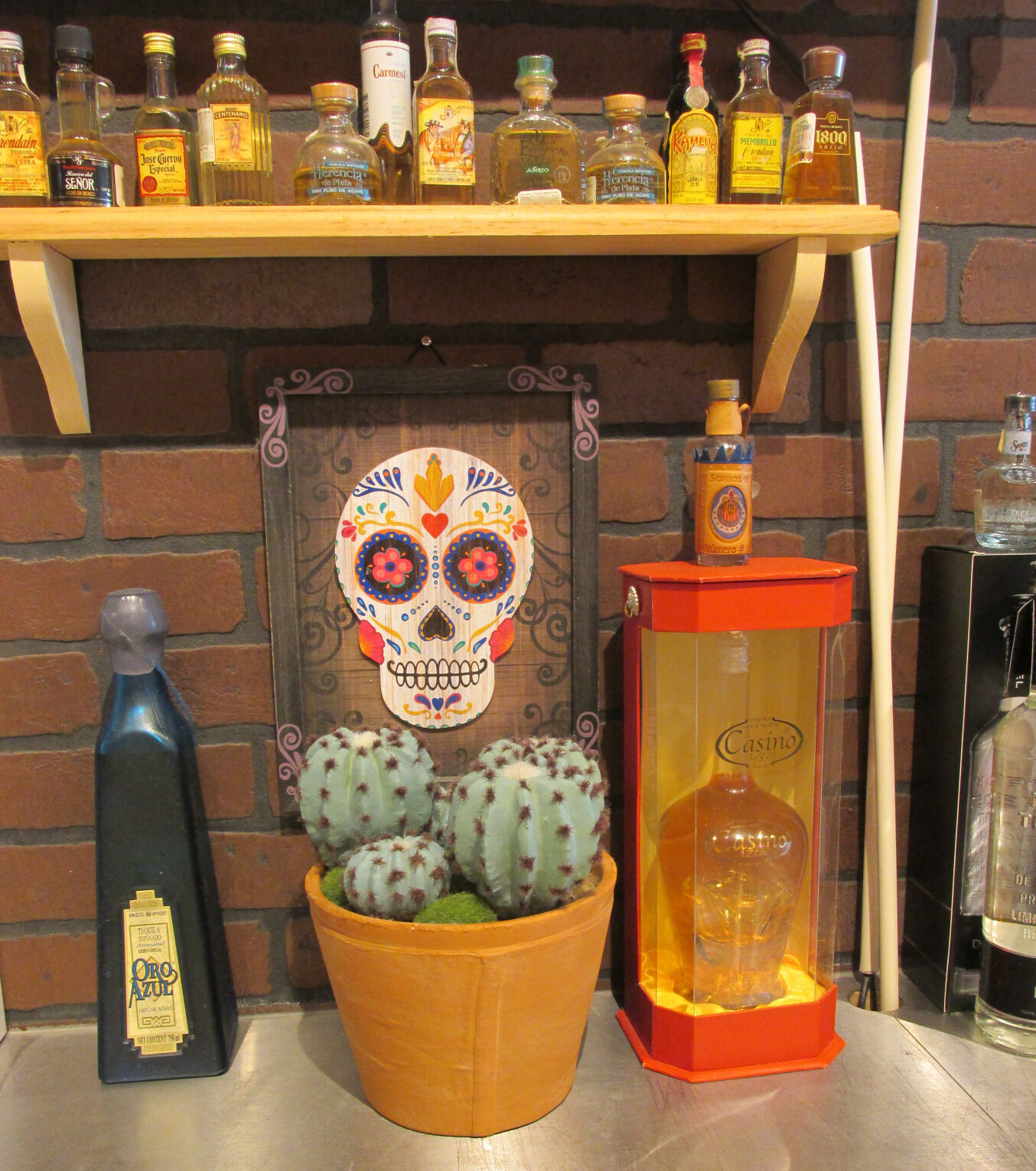 Trochę rozkwitu Dia de los Muertos w Mi Mexico Lindo